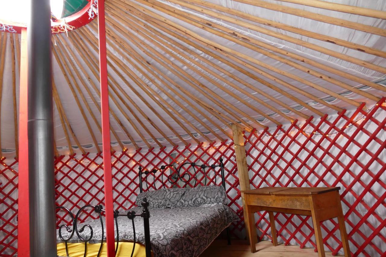 Alder Yurt Wych Elm Glamping Hotel Helston Esterno foto